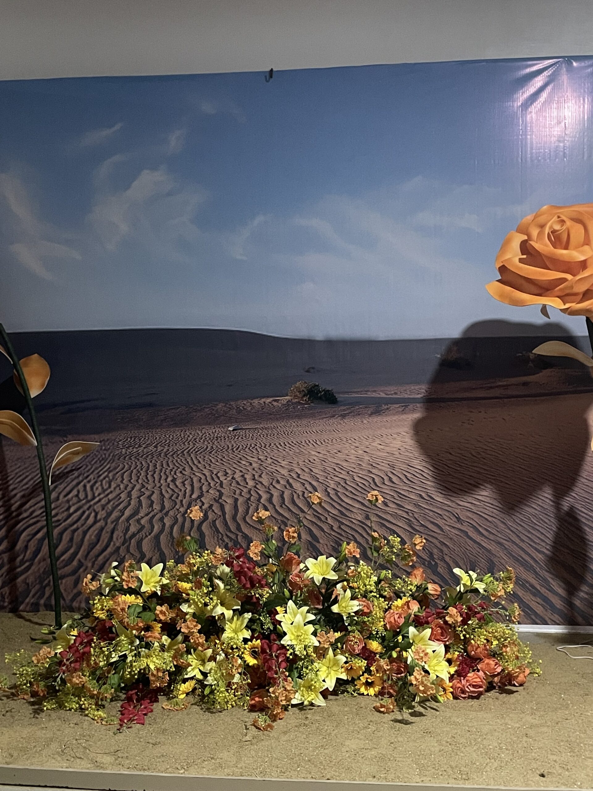 Ceiling installation Gallery Image