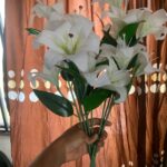 Ceiling installation Gallery Image