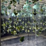 Ceiling installation Gallery Image