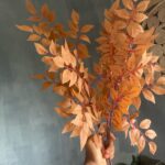 Ceiling installation Gallery Image