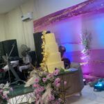 Ceiling installation Gallery Image